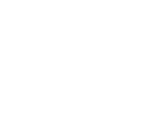 Logo VMRG